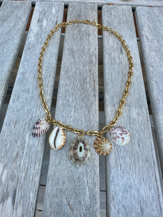 Costa shell charm necklace