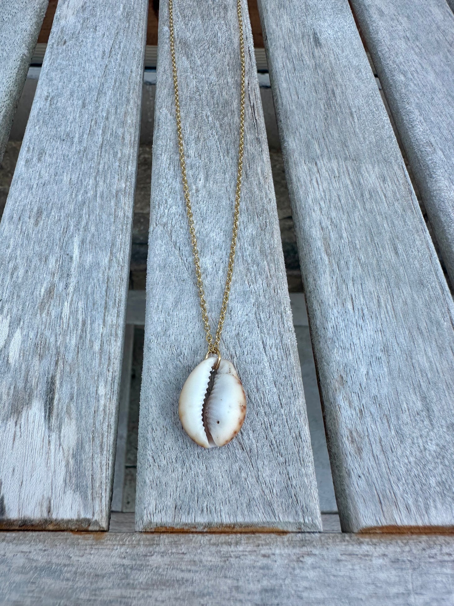 Cowrie shell necklace